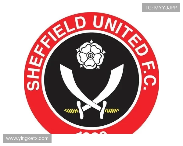 英超球队高清队徽:展示英超各球队的高清队徽。 英超球队高清队徽:展示英超各球队的高清队徽。